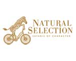 Natural-Selection-Safaris-of-Character-logo-(Stacked)-